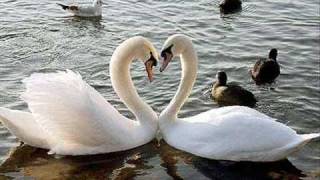 Nobody without you - Nikola Sarcevic (acoustic cover)