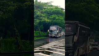 Download lagu SUDIRO TUNGGAL JAYA ANGKATAN PAGI PALING REKOMEND ❗️❗️#bus #stj #sudirotunggajaya #shorts mp3