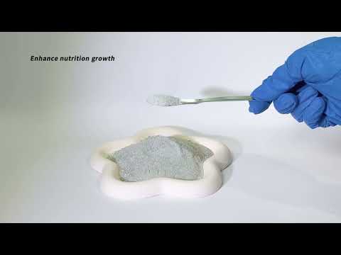 Biostimulants Enhanced Type NPK Fertilizer 10-20-20