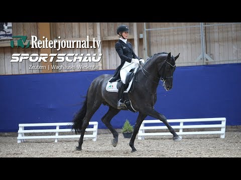 Reiterjournal SPORTSCHAU 2018: Dressurfestival Zeutern - Reit- und Springturnier Waghäusel-Wiesental