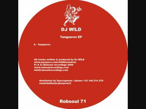 DJ W!ld - Tangueros EP (Robsoul)