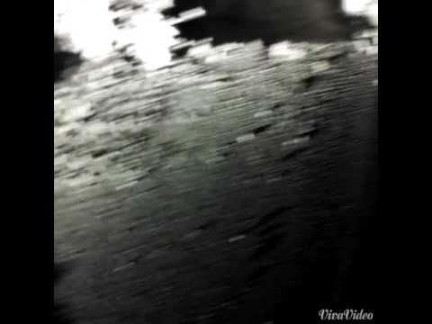 Ants Find an Easy Way Into Home in Spotswood, NJ