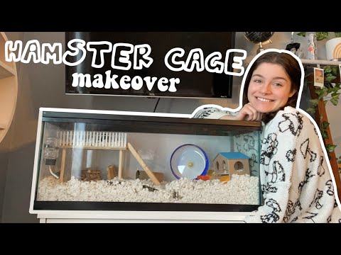 giving my hamster a cage makeover