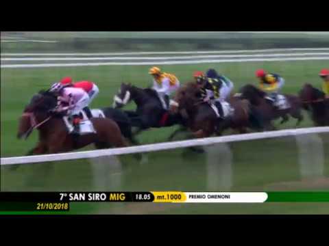 2018.10.21 Premio Omenoni (ITA) - Ipompieridiviggiu