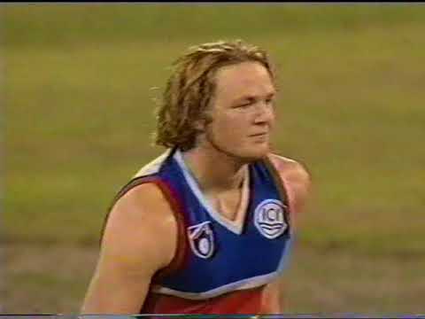 Geelong V Footscray 1995 AFL Qualifying Final