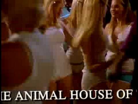Movie Trailer: Van Wilder (0)