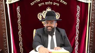 הרב משולם כהן שליט"א חלומות