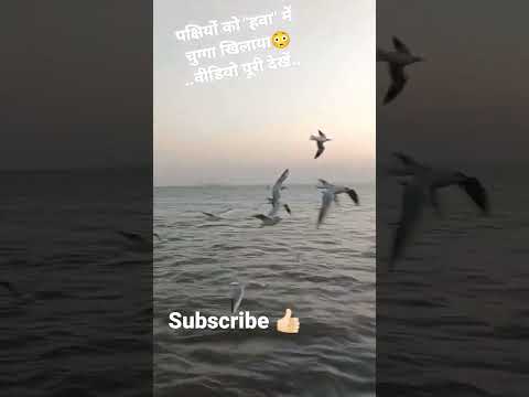 mumbai beach Mumbai Vlog #viral #viralshorts#vlog#shorts#mumbai#trending#mumbaivlogs