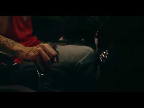 Franux BB_ Neo Pistea pobvio Animal ..