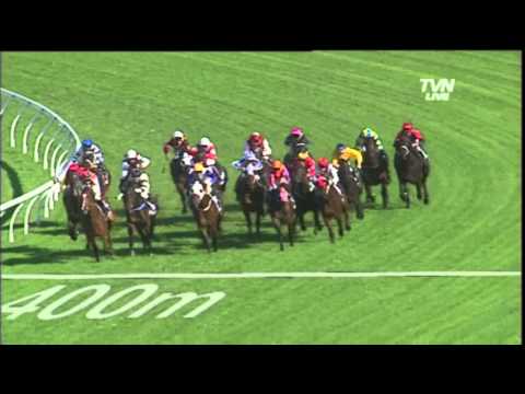 2012 Rosehill Guineas- Laser Hawk