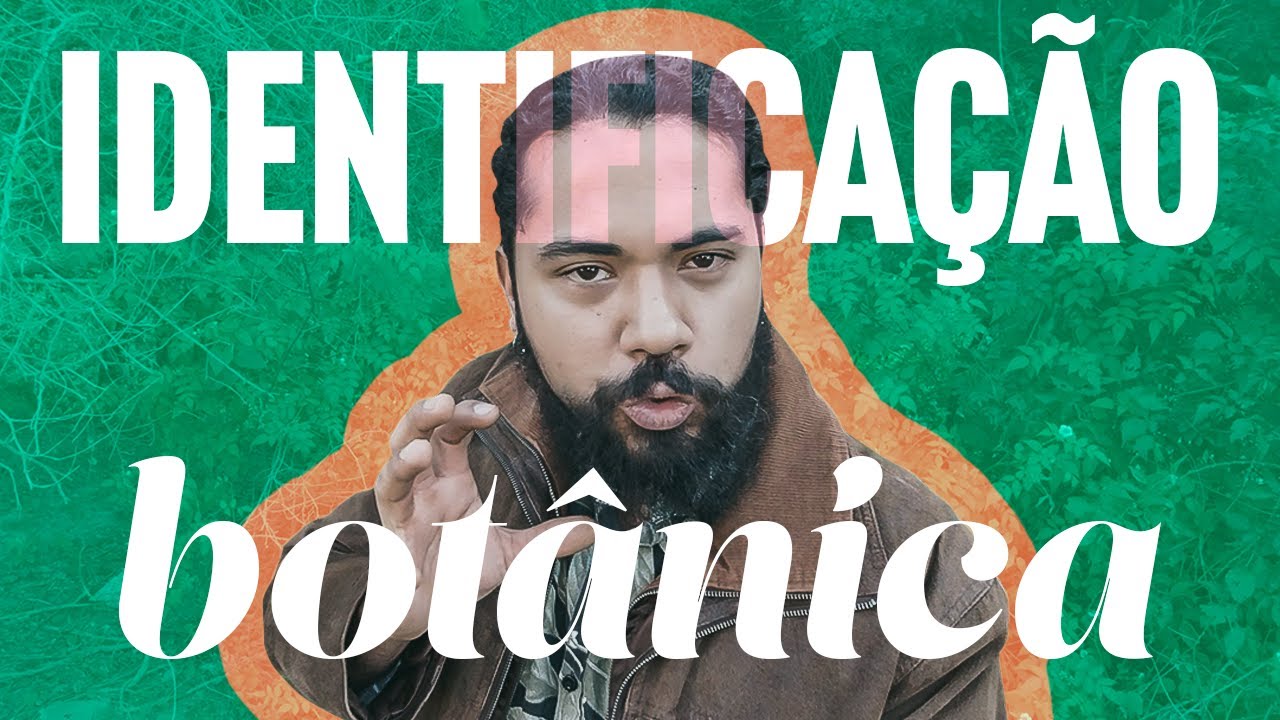 Os 4 passos da IDENTIFICAÇÃO BOTÂNICA - Guia da Floresta!