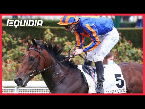 クリテリウムアンテルナシオナル(G1) 2020/10/24(土) 日程・結果 JRAVAN World 海外競馬情報サイト