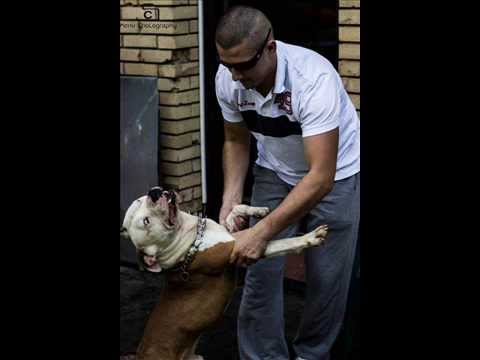 Sajfer - Babylon ( feat. Alli )