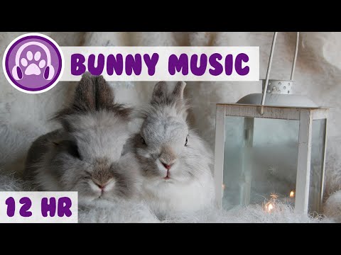 Music For Rabbits - Soothe and Calm Your Rabbit Instantly!🔴