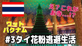 タイ花粉逃避生活#3お寺に行ってみた