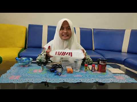 How to make a Pencil Case from Ice Cream Sticks | Video Procedure BIG | XII MIPA 1