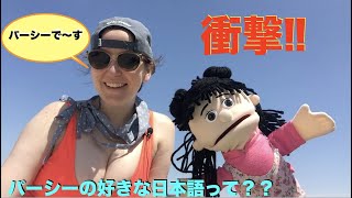 "衝撃!!" パッペット アメリカ人のパーシーが大好きな日本語って?? パーシーとスージー