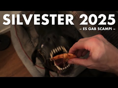Cedric der Labrador - 278 | Silvester 2025