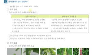 [초등과학 4-1 무료강의] 3. 식물의 한살이 ⑦ 꽃과 열매를 관찰해 볼까요?