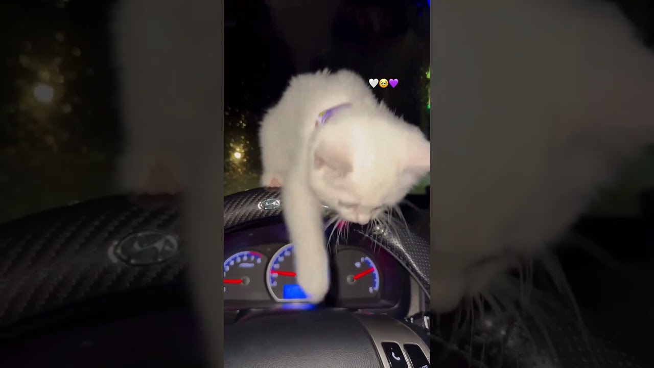 أ ل م ت ر إ ل ى ٱل ذ ين