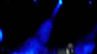 Babyshambles - French Dog Blues