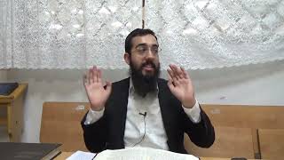 ההבדל בין נתינת מוחין להלבשה ובין פרטות לכללות | שער הברודים פרק ג שיעור מסכם חלק א | הרב עמרם