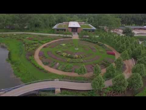 A bird's-eye view of the Green Roof Garden