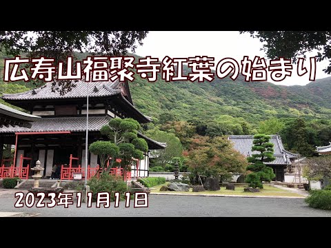 Templo Guangjusan Fukujuji 2023 Outono