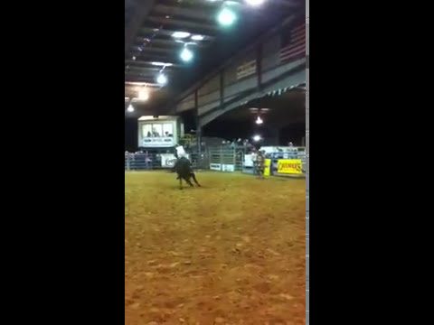 BULL RIDER Sam Medlock