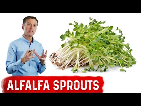 The Top 3 Best Gallbladder Herbs