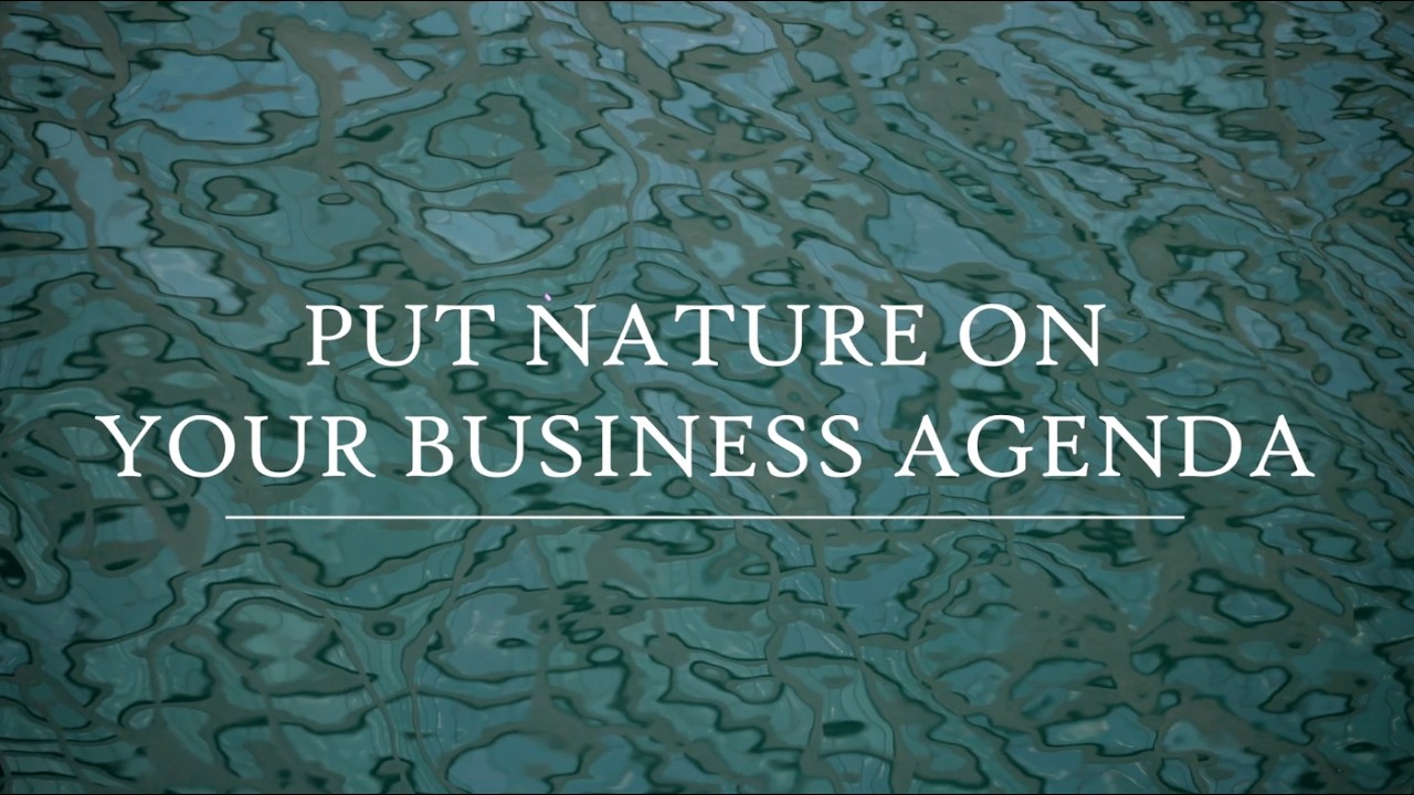 Business Case For Nature Film