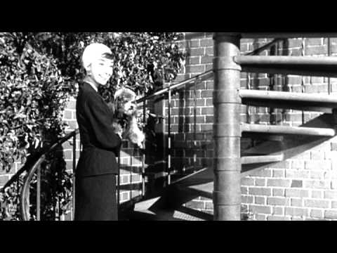 Vorschaubild für Sabrina Trailer