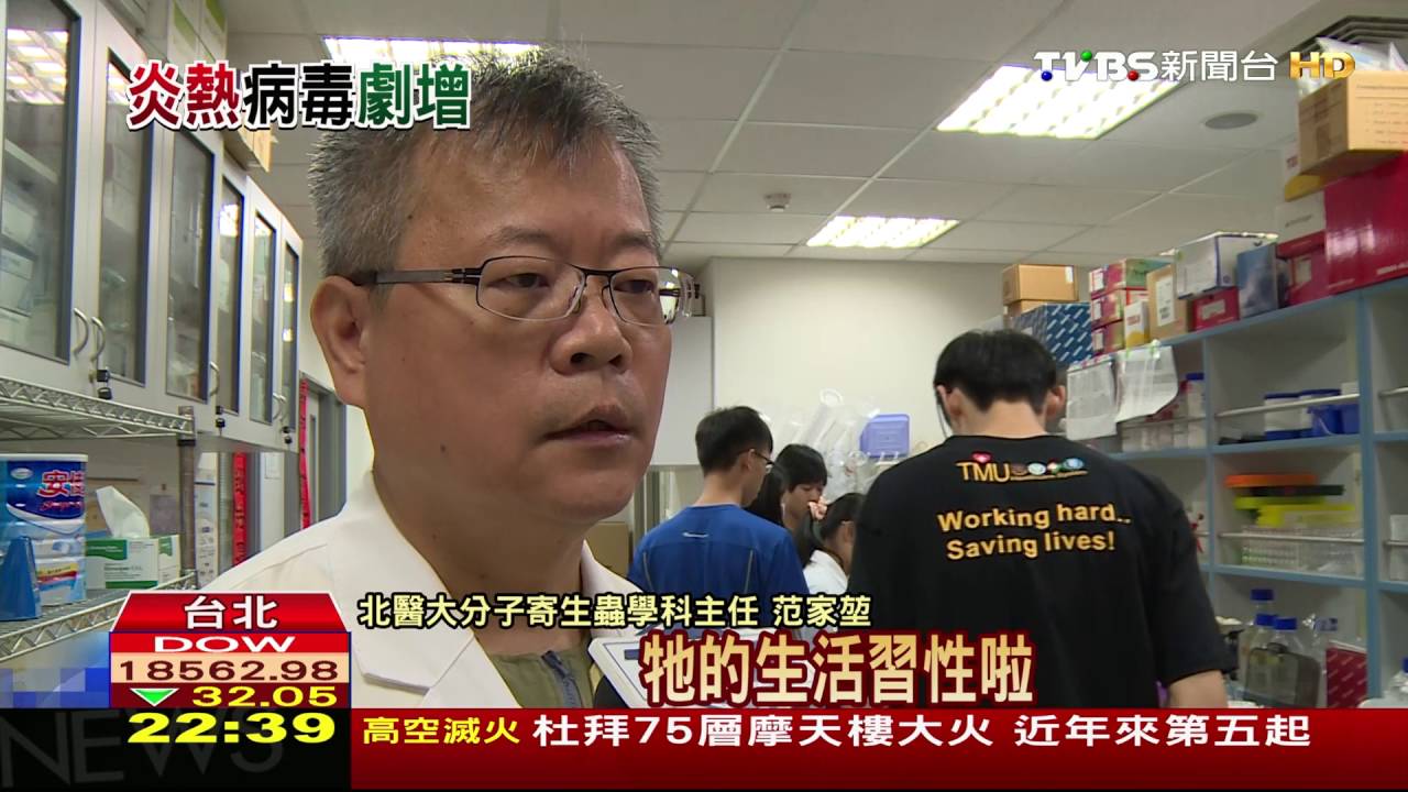 全球暖化蚊子數量增 4分之1台灣恐將淪陷