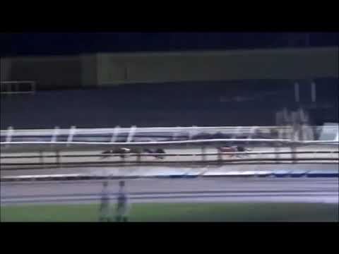 BGBF BRITISH BRED DERBY SEMI FINAL 2 - KING LENNON