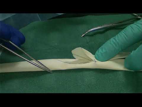 dry lab end-to-side anastomosis