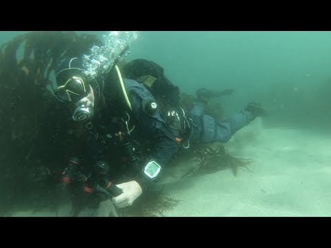 Scuba Diving Equipment Review: AVATAR Drysuit and AVATAR 901 Undersuit from SANTI