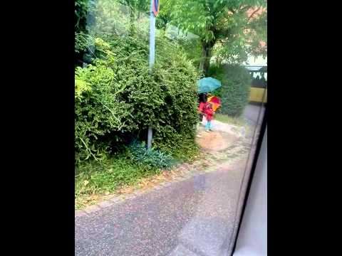 Stuttgart-Heumaden SSB in Heumaden Rose in einer enge kurve