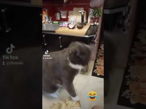 9 декабря 2021 г.