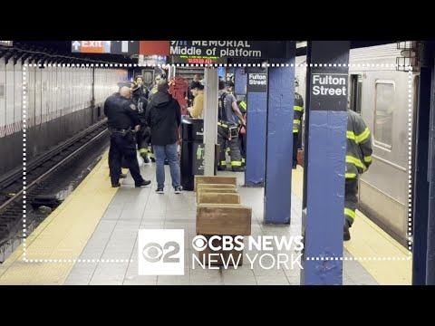 Person of interest in custody after woman was pushed onto subway tracks in NYC