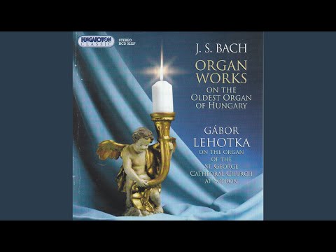 Trio Sonata in E flat major, BWV 525 II.