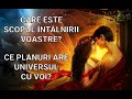 💞 CARE ESTE SCOPUL ÎNTÂLNIRII VOASTRE? CE VREA UNIVERSUL SĂ SE ÎNTÂMPLE ÎN ȘI CU CONEXIUNEA VOASTRĂ?