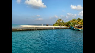 Swimming with Turtles &amp;amp; Sharks Around Helengeli Island, North Male Atoll, The Maldives