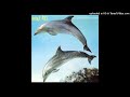 Orange Juice - Tender Object