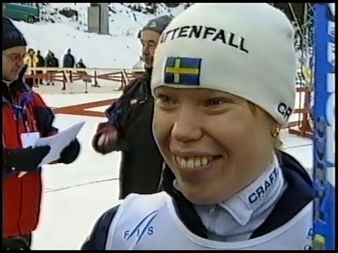 Rapport (SVT 2001-11-24)