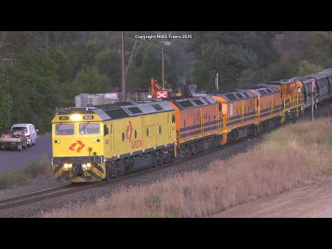 STREAMLINERS & CLASSIC ENGINES HAUL GRAIN TRAINS IN THE ADELAIDE HILLS