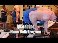 Quarantine Home Bulk Program - Day2 - Check-in, Diet, Arm workout