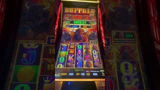 Bonus, BIG win! #casino #buffaloslotmachine #slot #buffalo