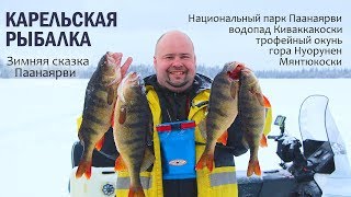 Зимняя рыбалка на шотозере