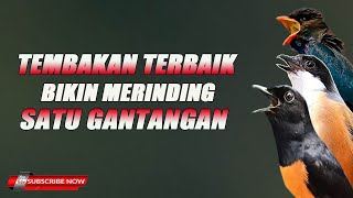 Download lagu MASTERAN FULL NEMBAK KASARAN BIKIN MERINDING SATU GANTANGAN !!! mp3