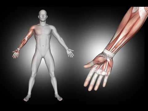 Sulle articolazioni gonfie mano provoca una malattia Toracica grado cifosi 3